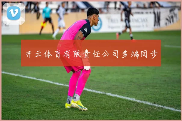 开云体育有限责任公司多端同步