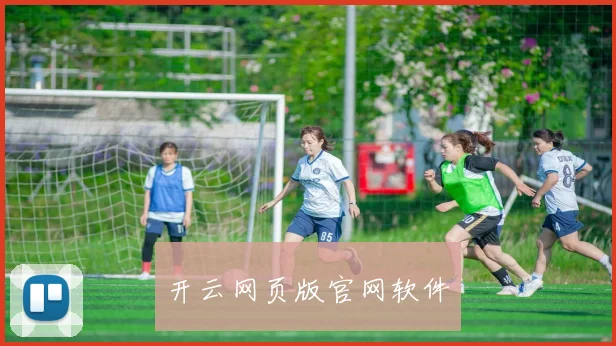 开云网页版官网软件