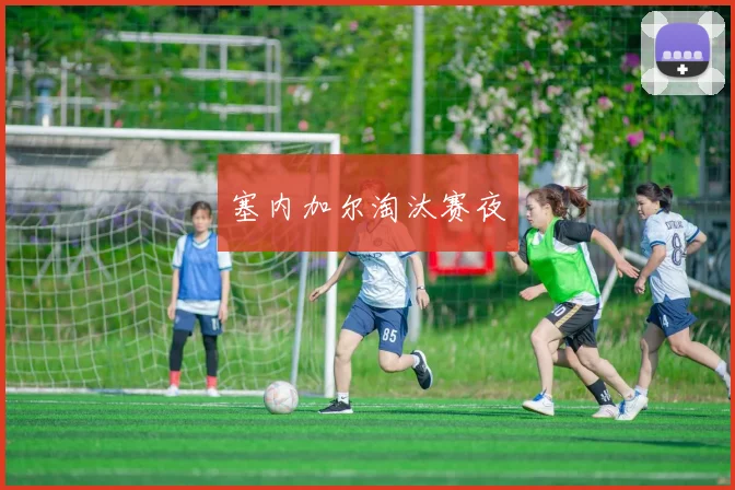 塞内加尔淘汰赛夜