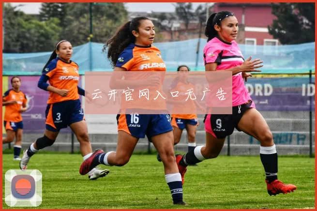 云开官网入口无广告