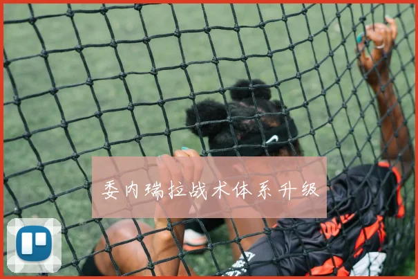 委内瑞拉战术体系升级