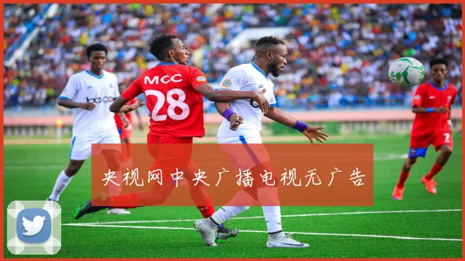 央视网中央广播电视无广告