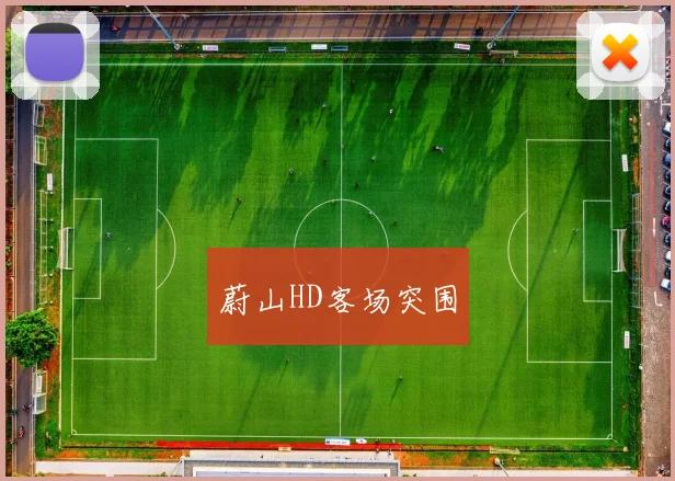 蔚山HD客场突围
