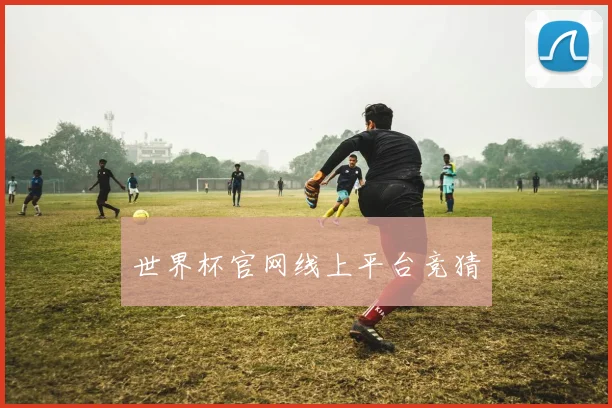 世界杯官网线上平台竞猜