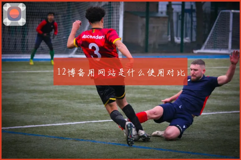 12博备用网站是什么使用对比