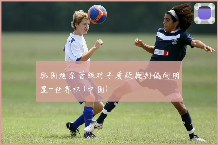 韩国绝杀晋级对手质疑裁判偏向明显-世界杯(中国)