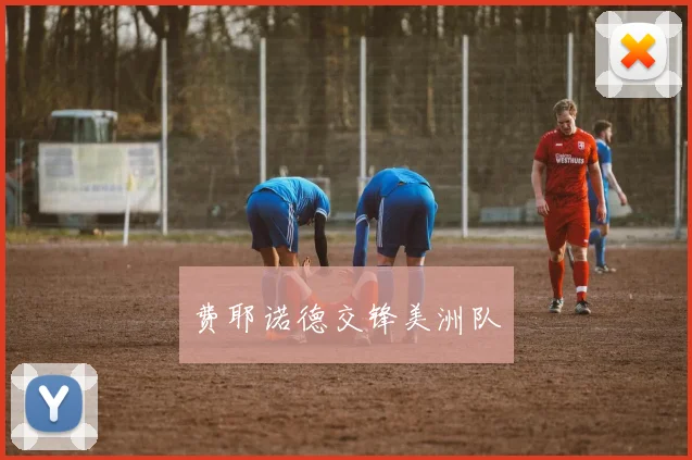 费耶诺德交锋美洲队