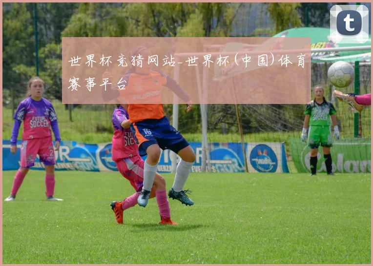 世界杯竞猜网站_世界杯(中国)体育赛事平台