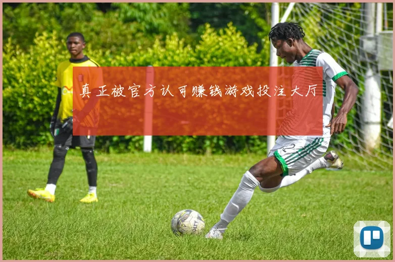 真正被官方认可赚钱游戏投注大厅