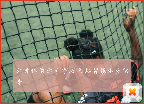 云开体育云开官方网站智能比分助手
