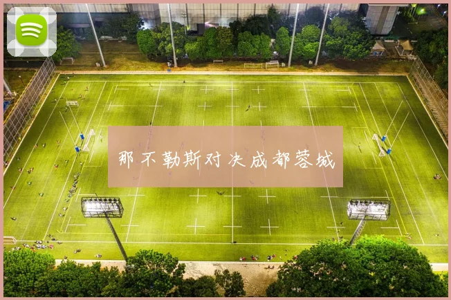 那不勒斯对决成都蓉城