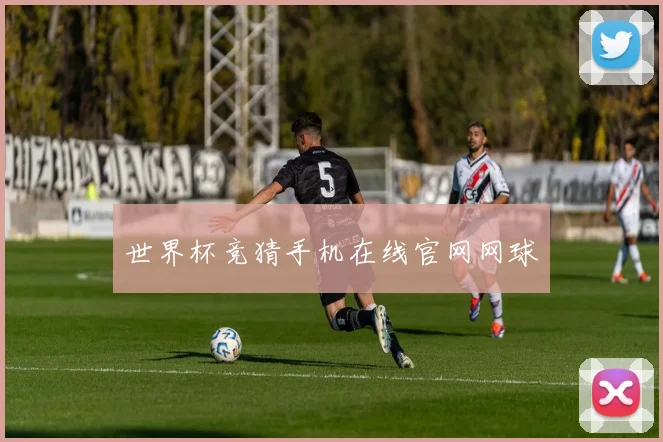 世界杯竞猜手机在线官网网球