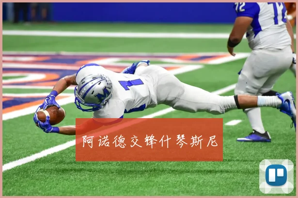 阿诺德交锋什琴斯尼