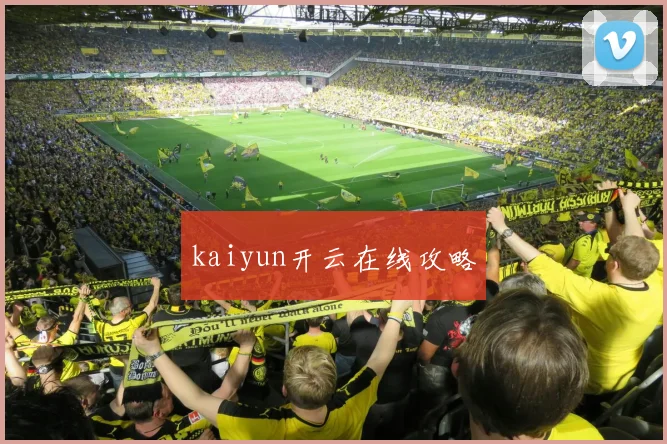 kaiyun开云在线攻略