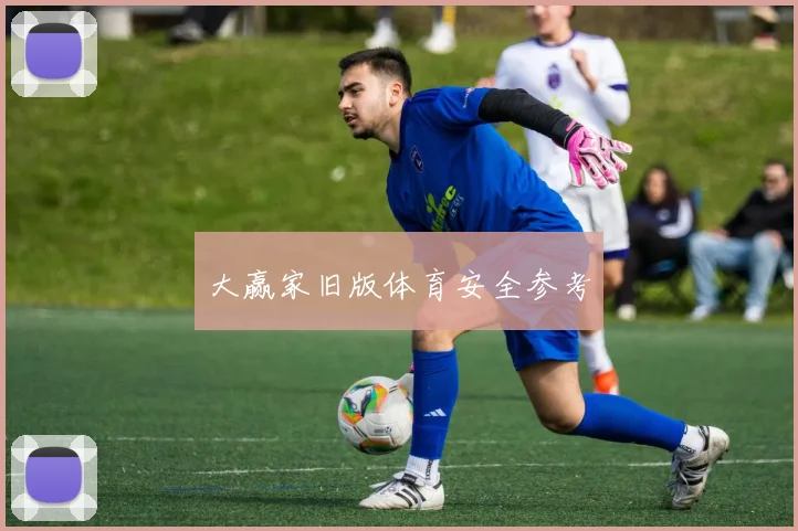 大赢家旧版体育安全参考