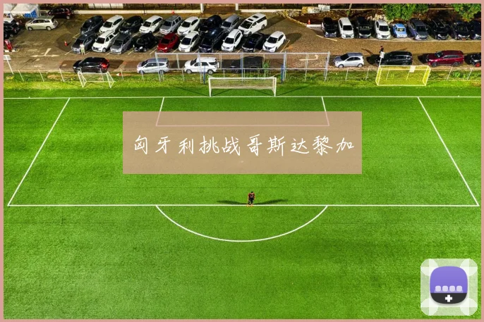 匈牙利挑战哥斯达黎加