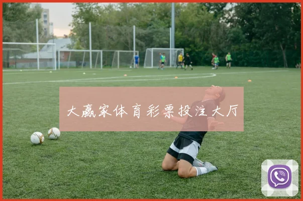大赢家体育彩票投注大厅