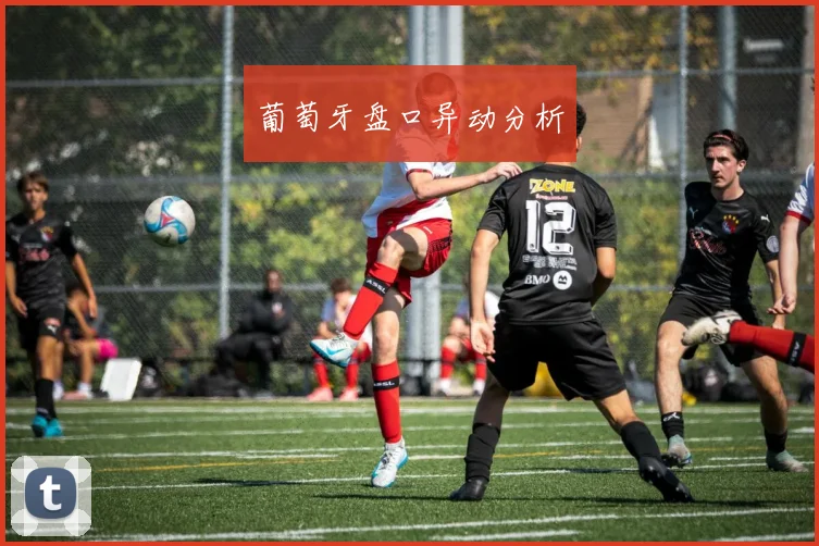 葡萄牙盘口异动分析