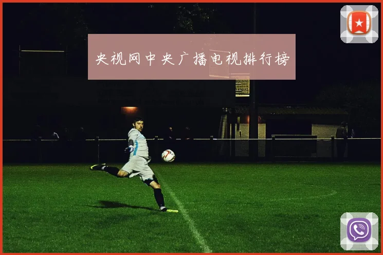 央视网中央广播电视排行榜