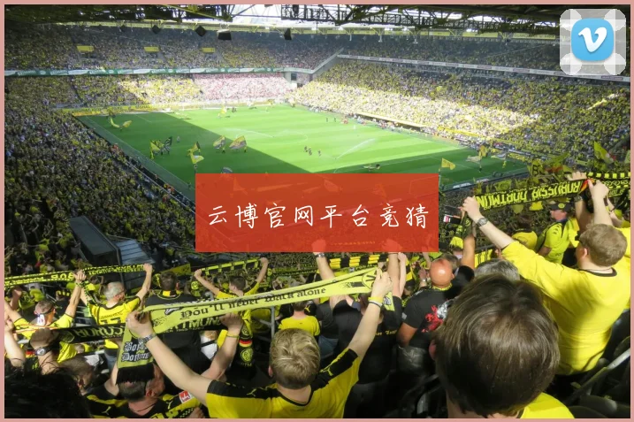云博官网平台竞猜