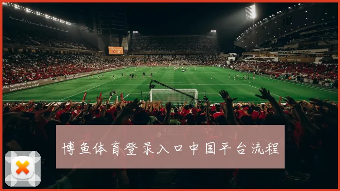 博鱼体育登录入口中国平台流程