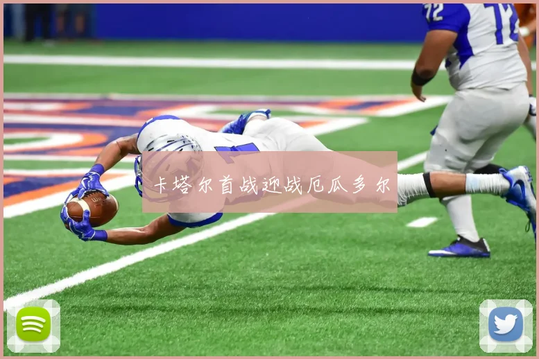 卡塔尔首战迎战厄瓜多尔