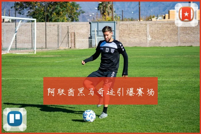 阿联酋黑马奇迹引爆赛场