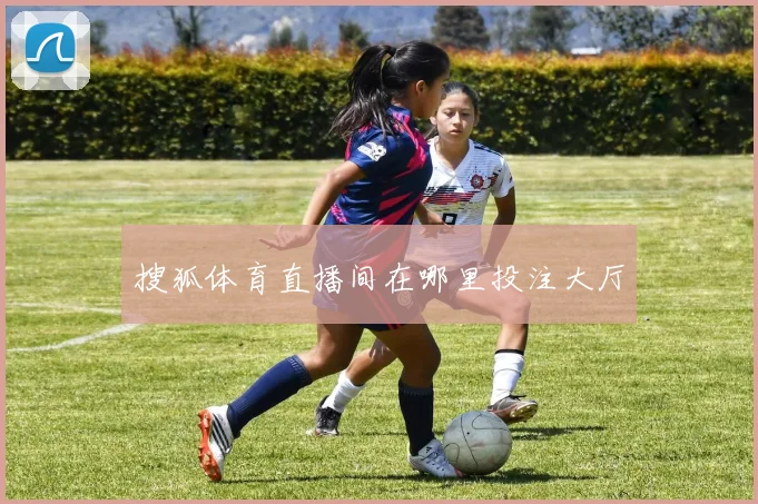 搜狐体育直播间在哪里投注大厅