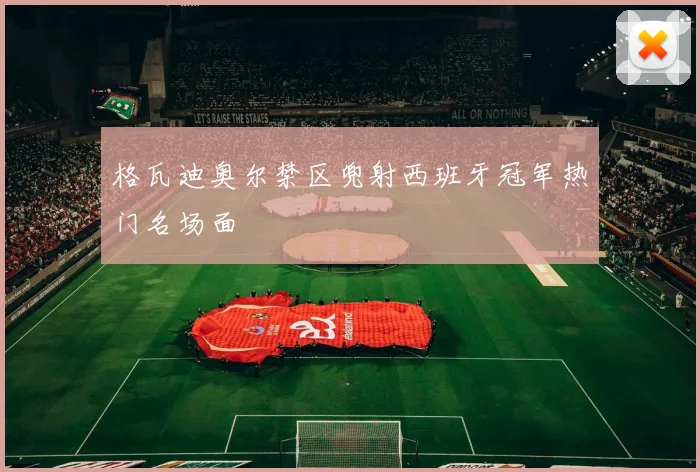 格瓦迪奥尔禁区兜射西班牙冠军热门名场面
