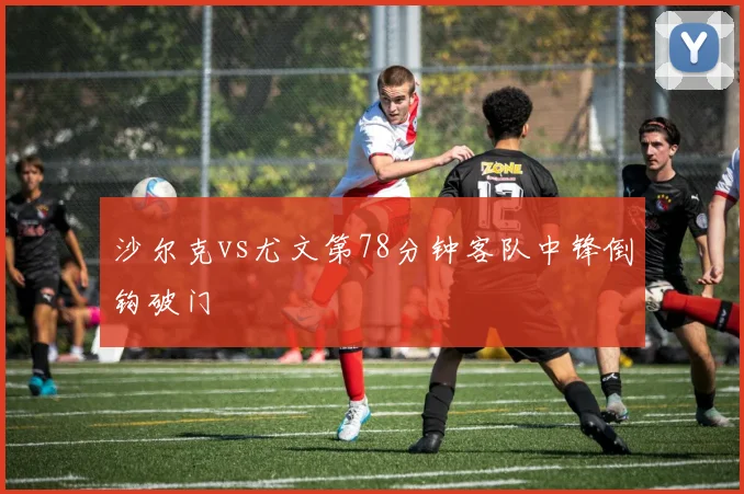 沙尔克vs尤文第78分钟客队中锋倒钩破门