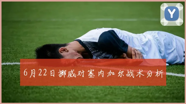6月22日挪威对塞内加尔战术分析