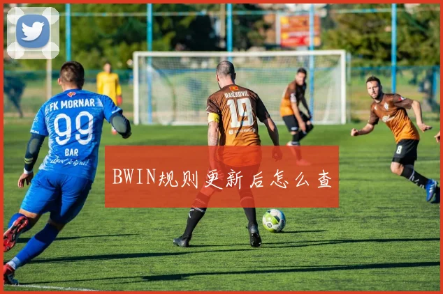 BWIN规则更新后怎么查